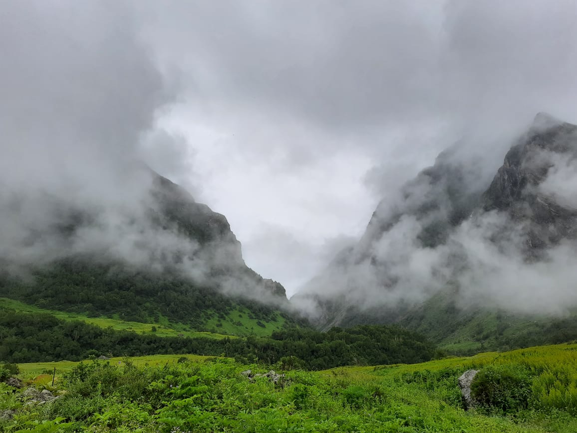 Flower valley