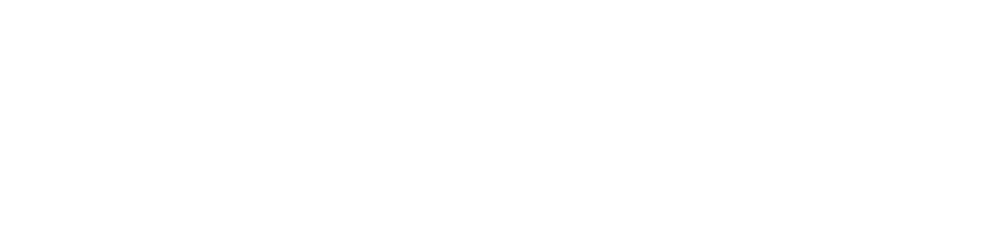 Logo Megadev