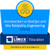 LFS162 Badge