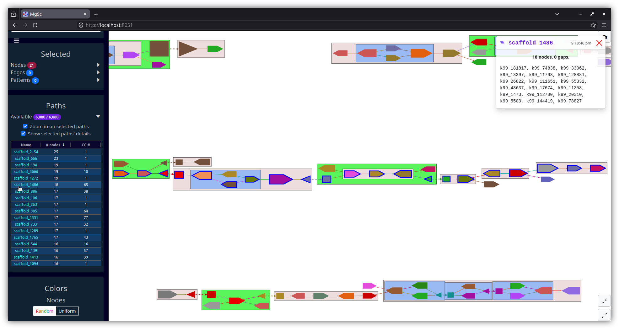 Stool metagenome scaffold graph, zoomed in on a scaffold path.