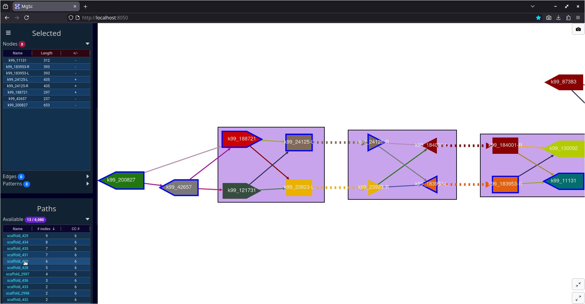 Second-largest component in a metagenome assembly graph, showing various identified structural patterns.