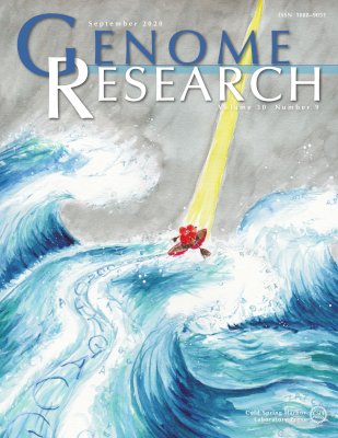 Dark and Stormy until HiCanu sees the Light, the Genome Research cover by Arang Rhie.