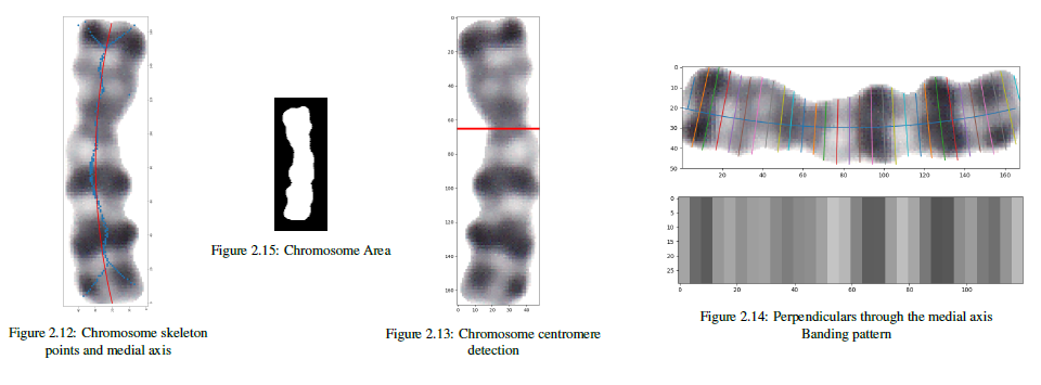 Features extraction