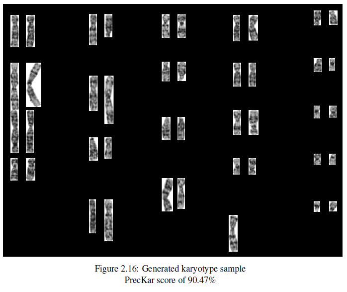 Karyotype generator