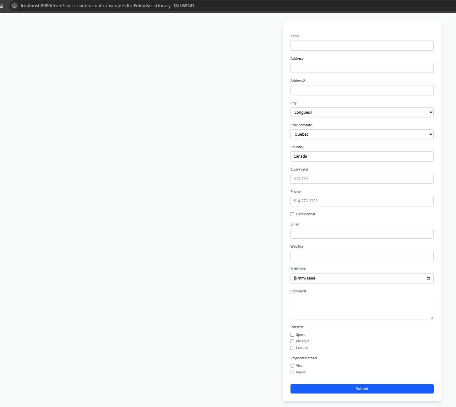 Formatic editor example process