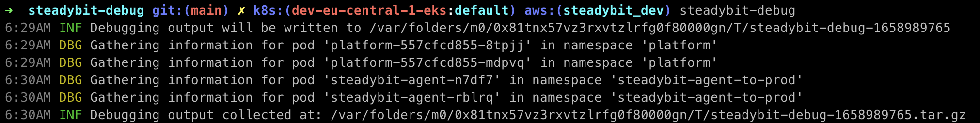 Image showing the execution of the steadybit-debug command on a terminal. Log lines are giving an overview about the expected behavior of the tool.