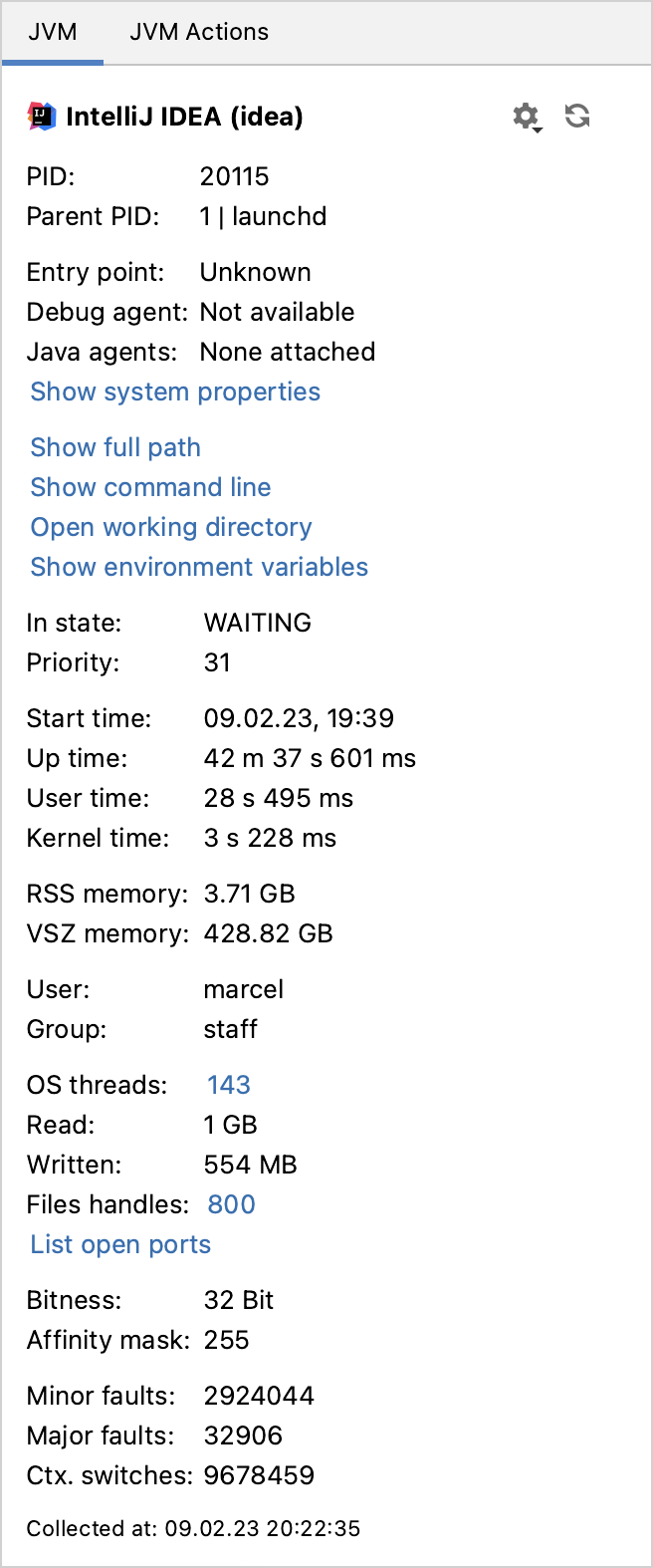 JVM Process Details