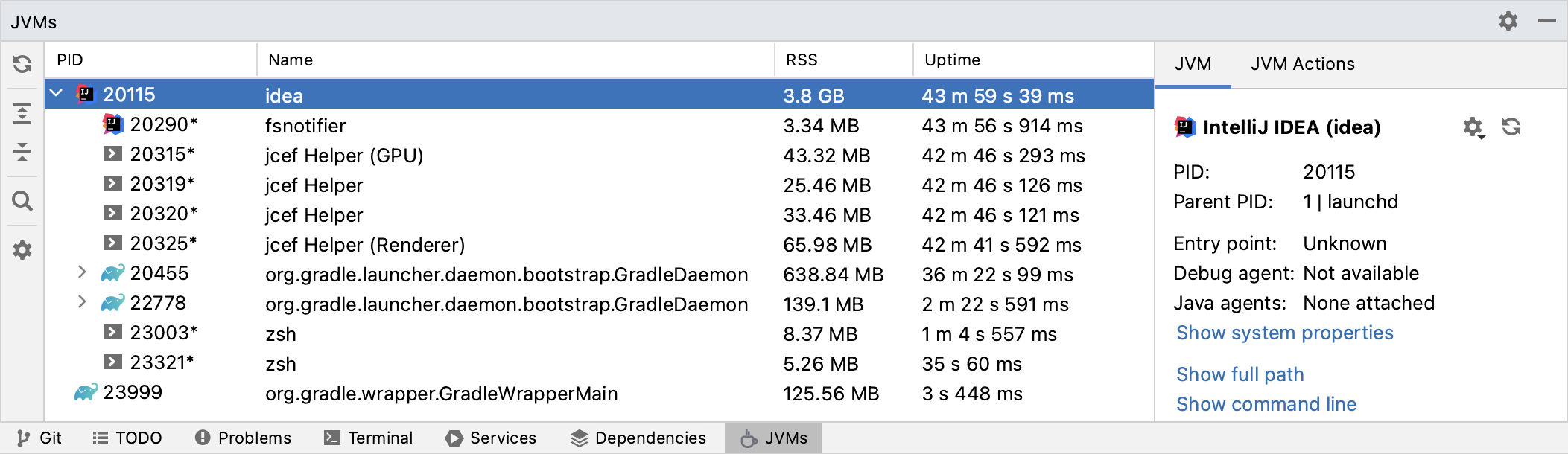 Running JVMs Overview