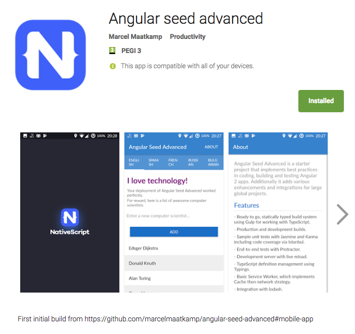 angular seed advanced