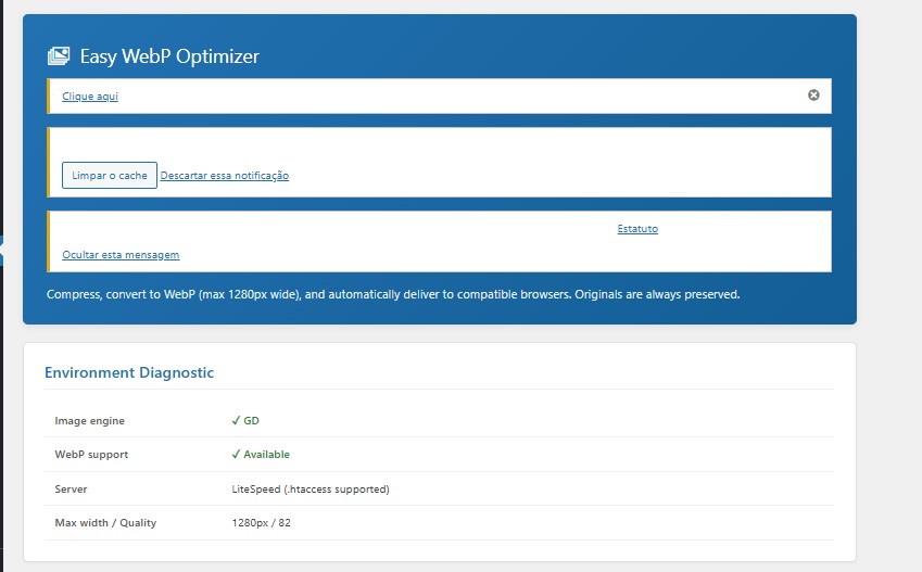 Plugin header and Environment Diagnostic showing server capabilities