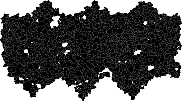 Figure 1. An example of a grain boundary map