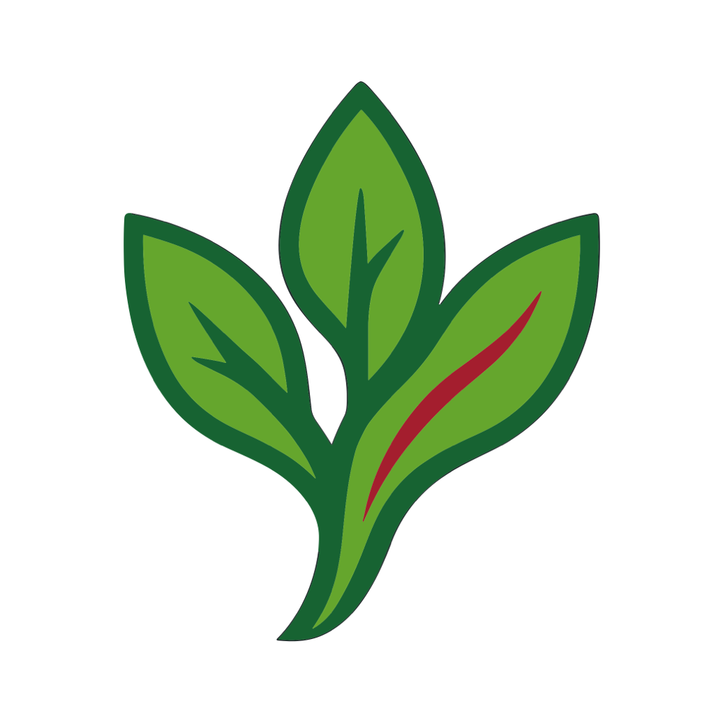 ReActionView Logo