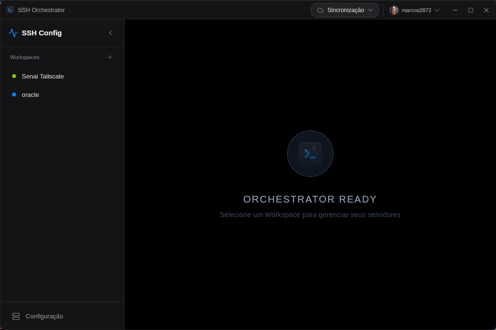 Tela inicial com workspaces na sidebar e terminal SSH ativo