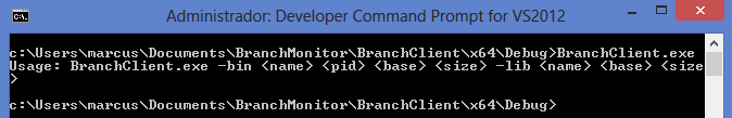 BranchClient usage