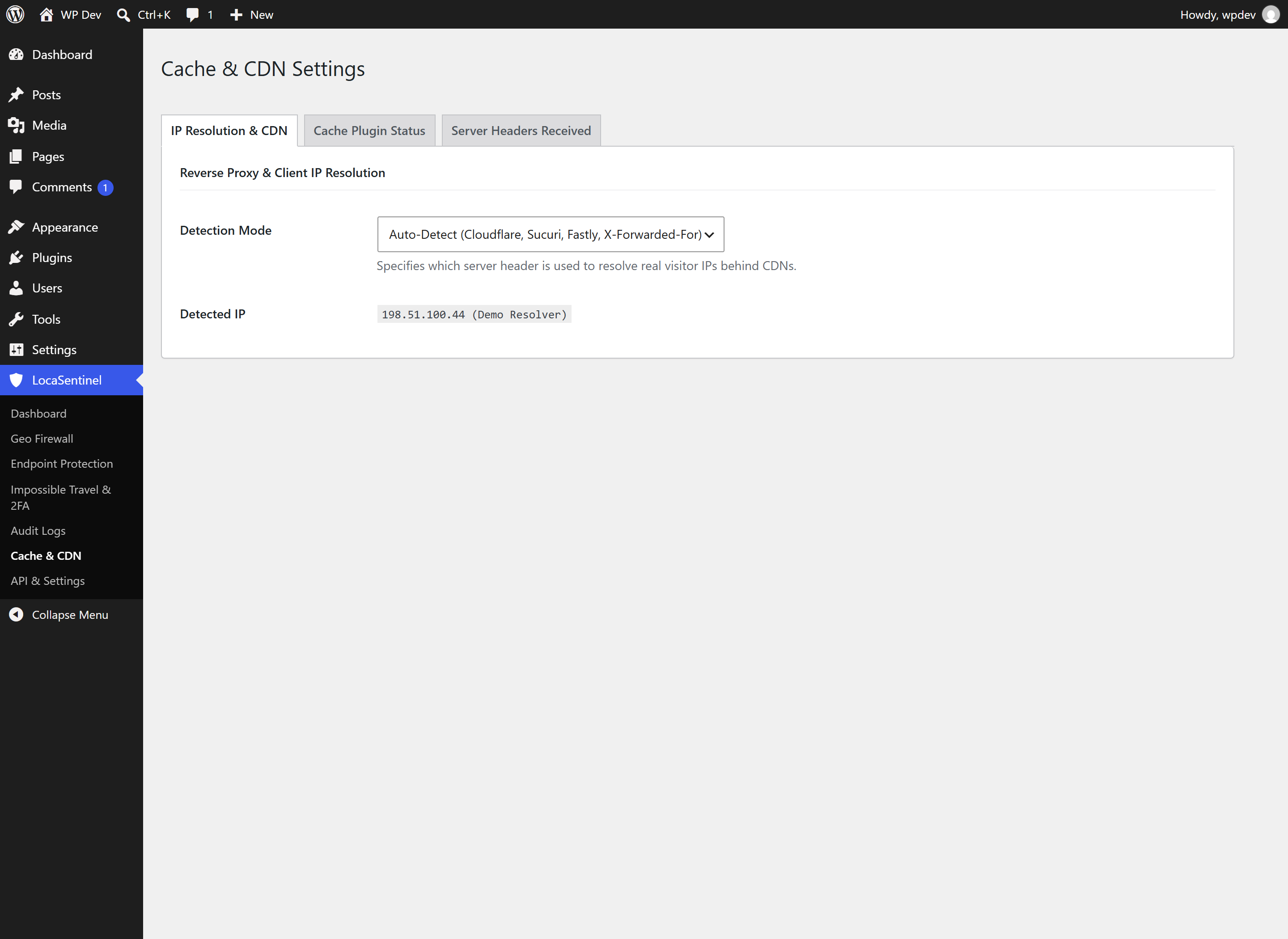 Cache & CDN Diagnostics