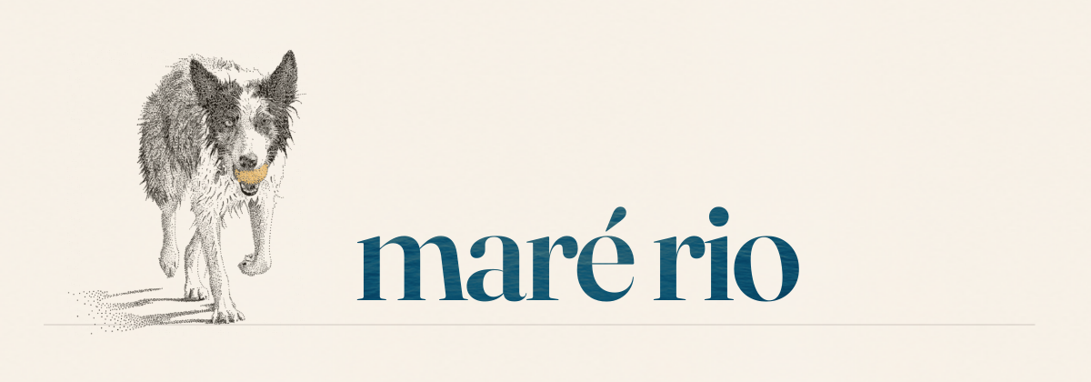 Maré Rio — Moana walking the sand, the wordmark set in sea water