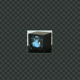 Zoom demo