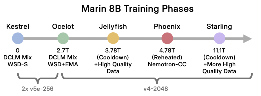 Training phases. See text for details.