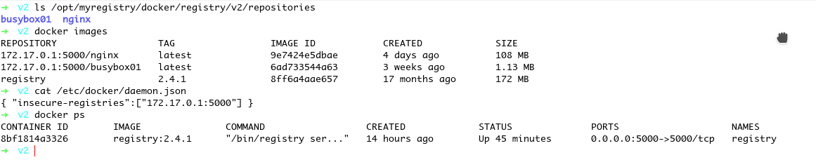 the detail of how to deploy docker registry