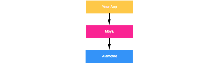 Moya diagram