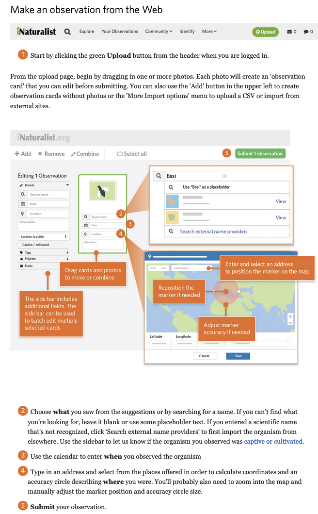 iNaturalist using the web