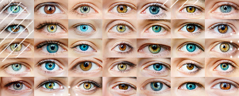 Collage de distintos tipos de ojos