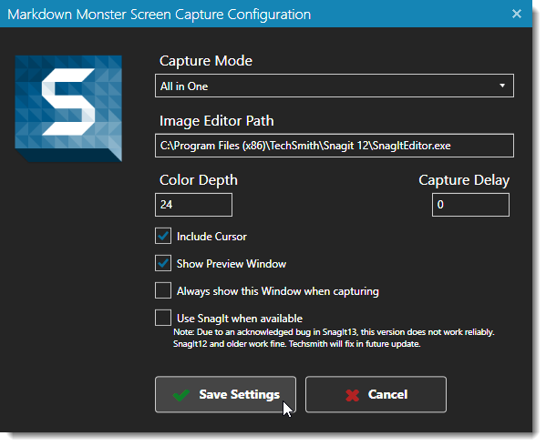 SnagIt Screen Capture Add-in