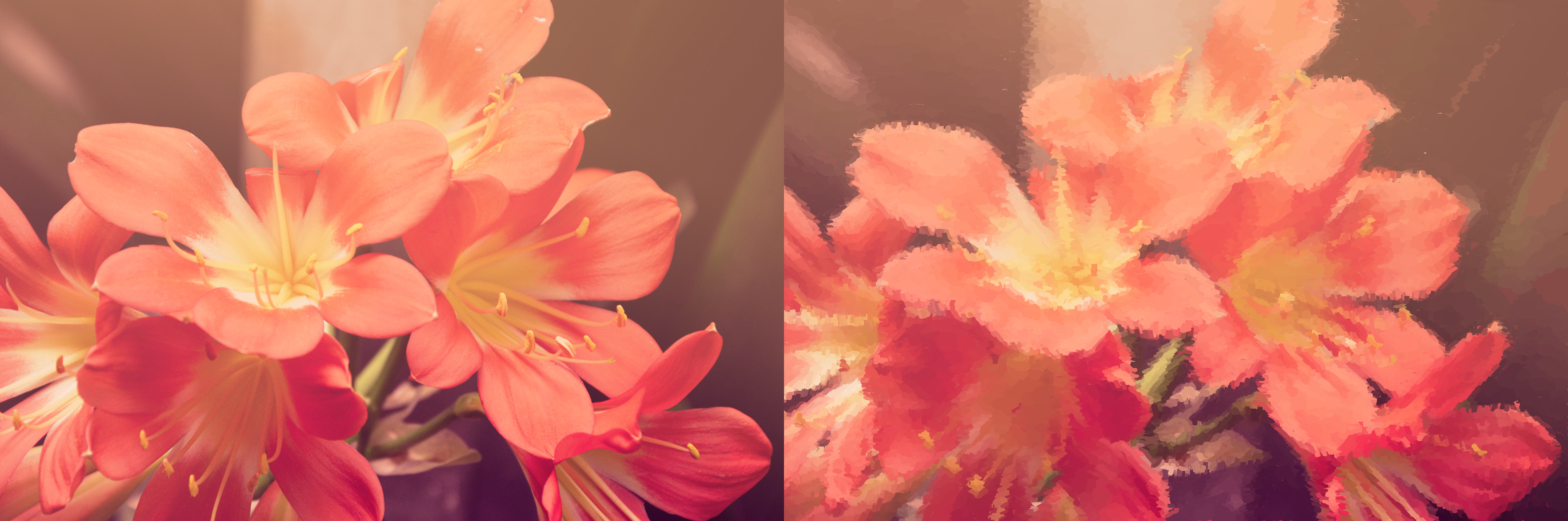 Source Flowers Compared to Painterly Flowers