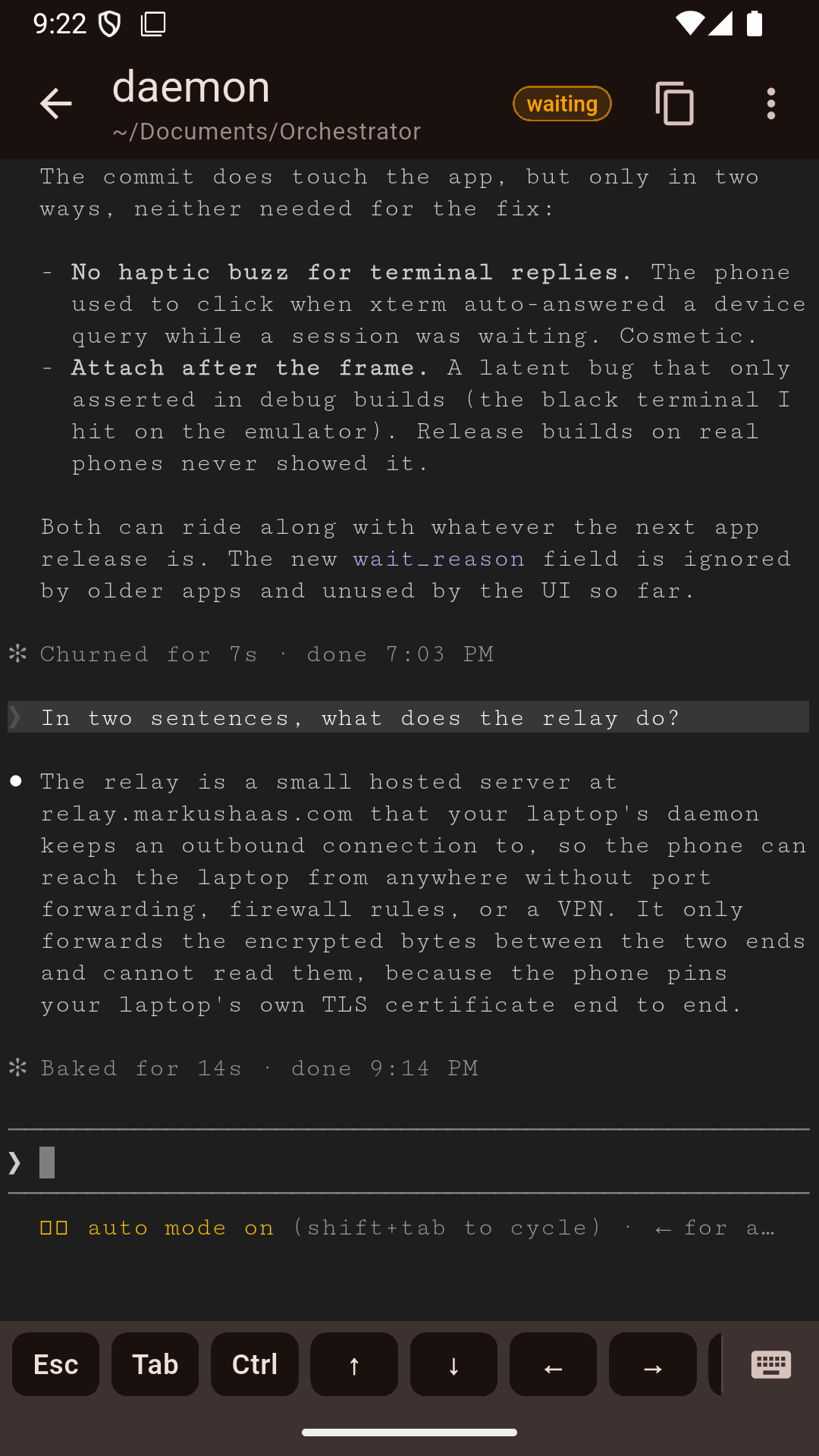A Claude Code session running in the phone app, with Esc, Tab, Ctrl and arrow keys along the bottom