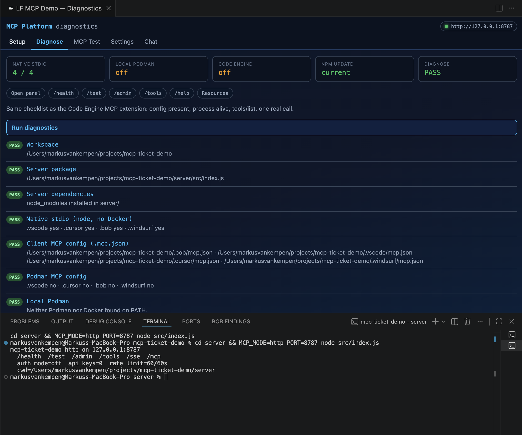 Extension diagnostics panel — all steps passing, server confirmed healthy