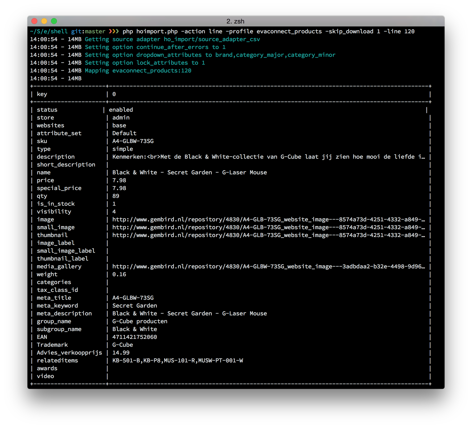 Terminal Preview