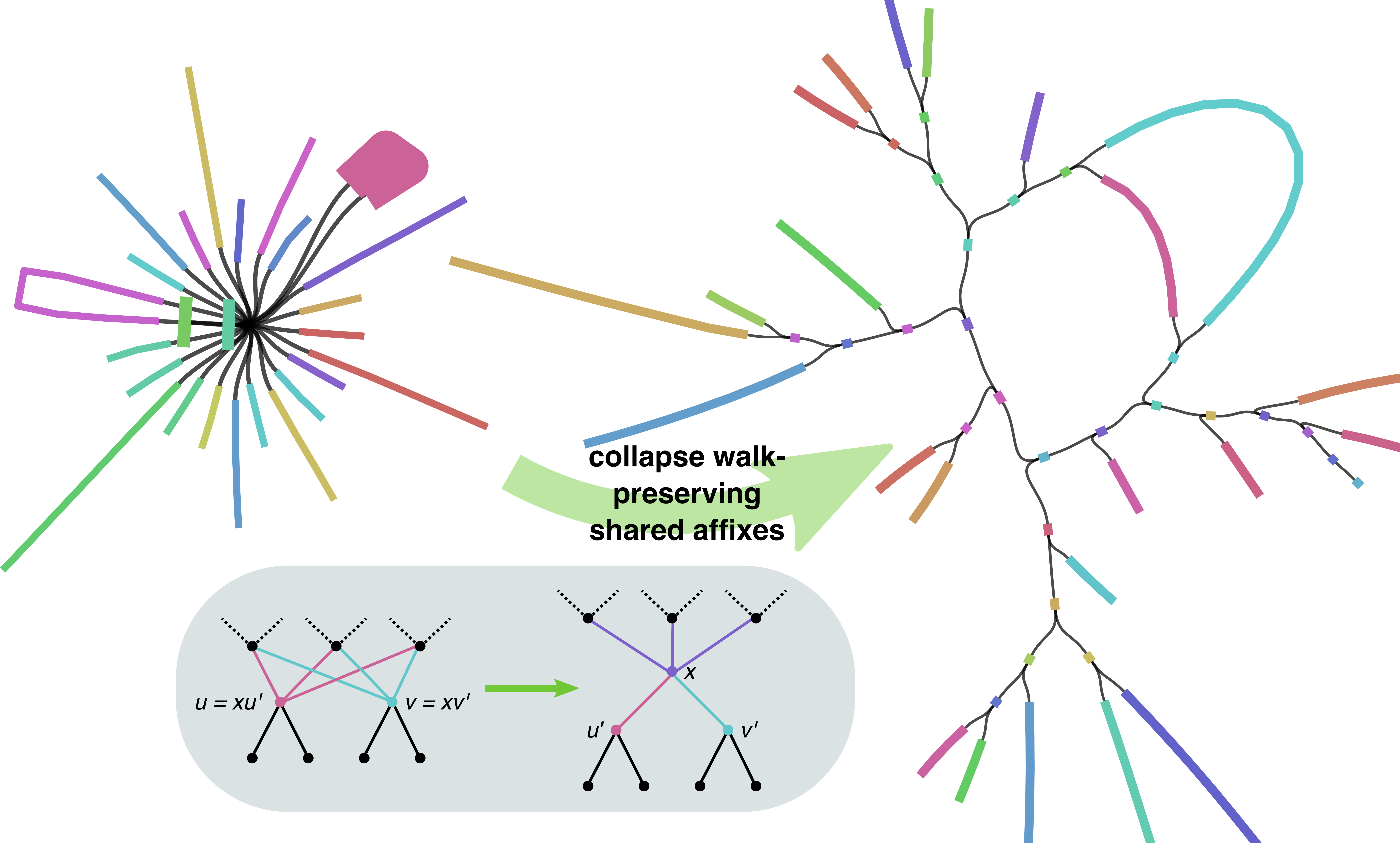 GFAffix collapses walk-preserving shared affixes