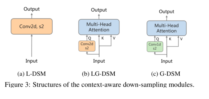 DSM (Down-Sampling Modules)