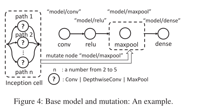 Base model and mutation