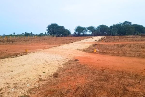 Alamelu Mangai Nagar Image 4