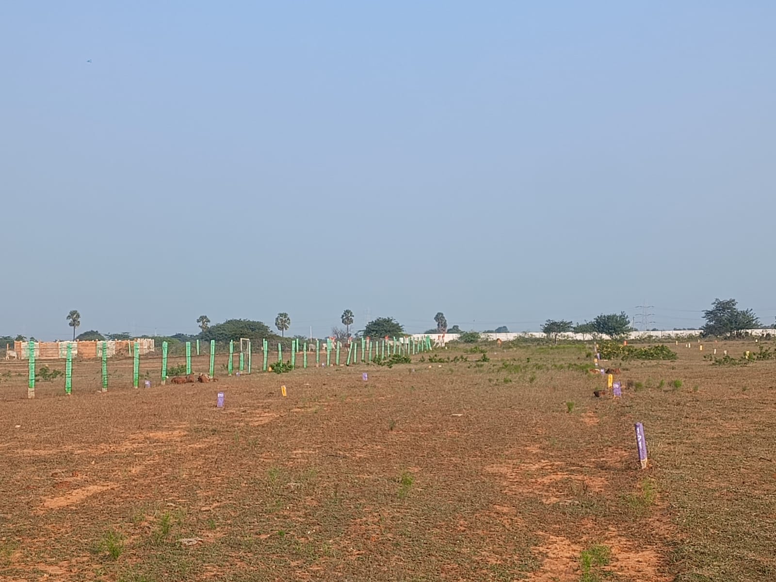 Arunachala Nagar Image 2