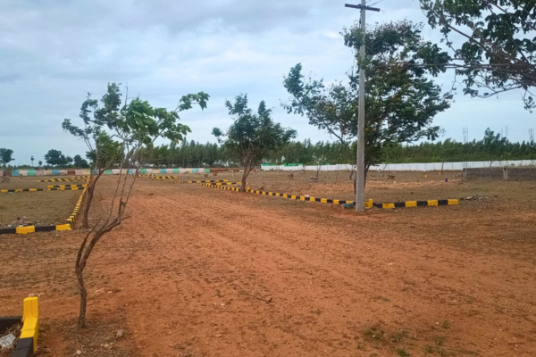 Officer's Town Image 3