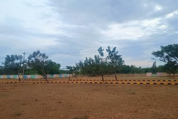 Officer's Town Image 5