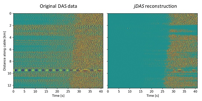 Example of jDAS denoising performance