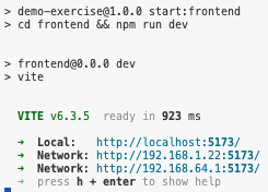 Frontend execution logs example