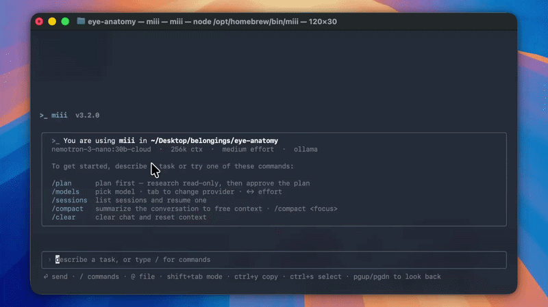 miii local AI coding agent running in a terminal, powered by Ollama