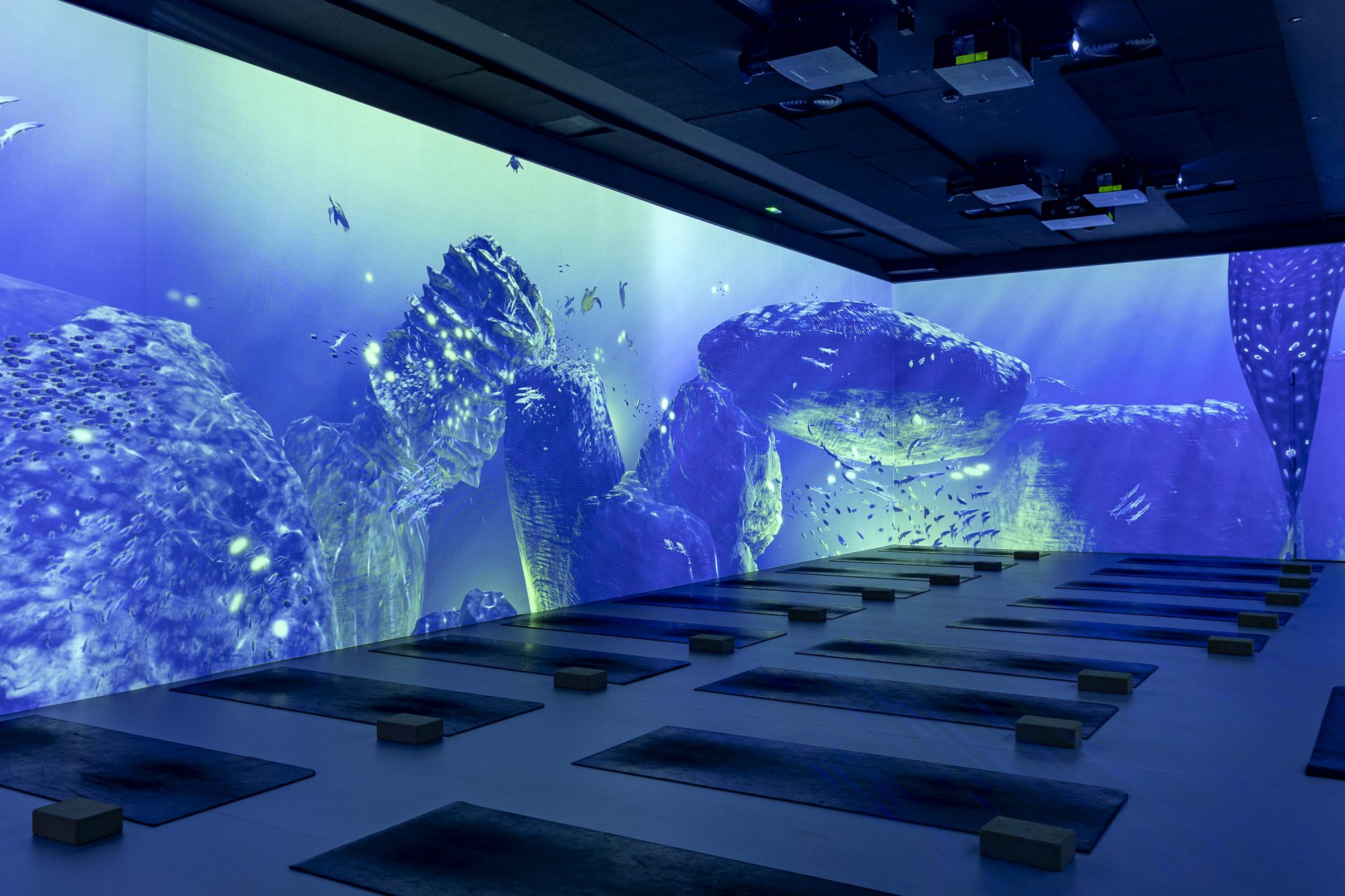 SABDA immersive wellness studio Barcelona