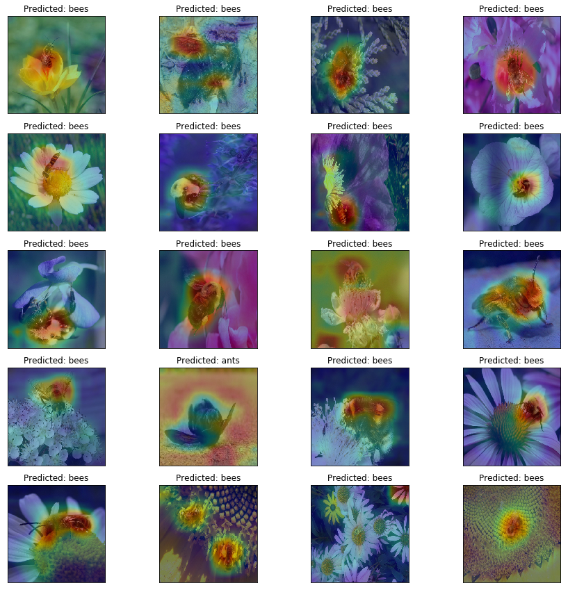 Image of Bees with CAM heatmaps