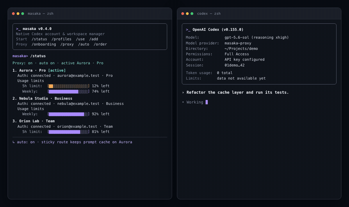 Masaka for Codex screenshot 2