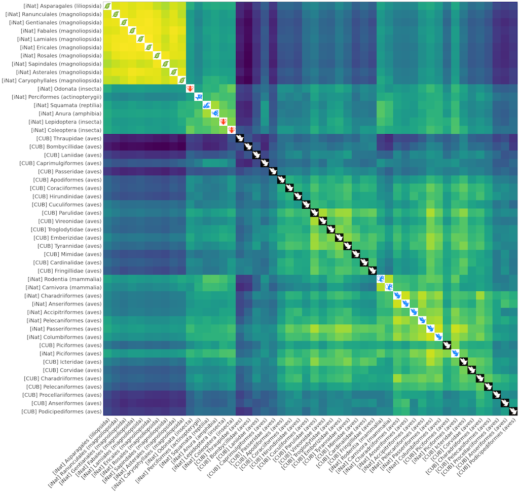 task2vec distance matrix