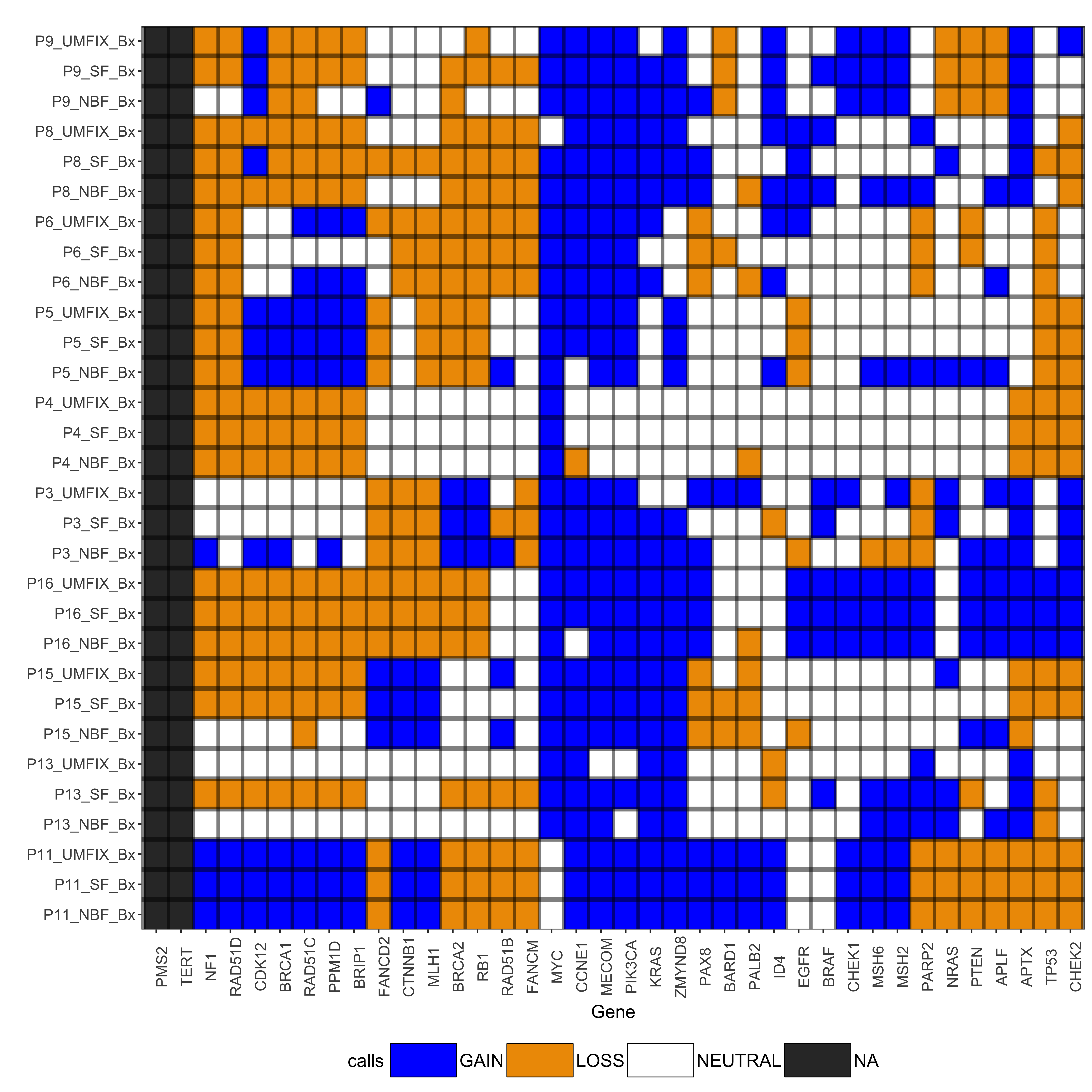 Clustered heat map of the gene-level CNA calls in 30 HGSOC samples: Plot of copy number calls for 38 genes from ensemble segmentation in all 30 HGSOC samples. Both genes (columns) and samples (rows) are ordered using hierarchical clustering.