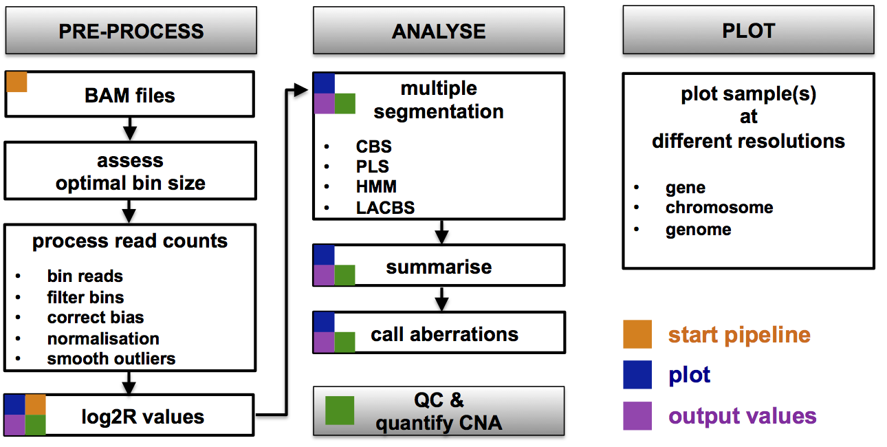 Analysis workflow for CNAclinic