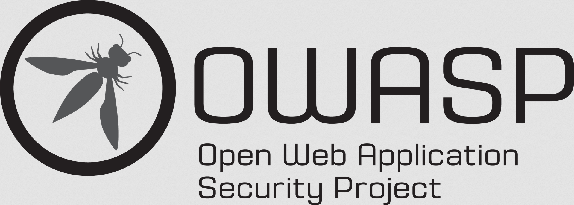 OWASP Methodology
