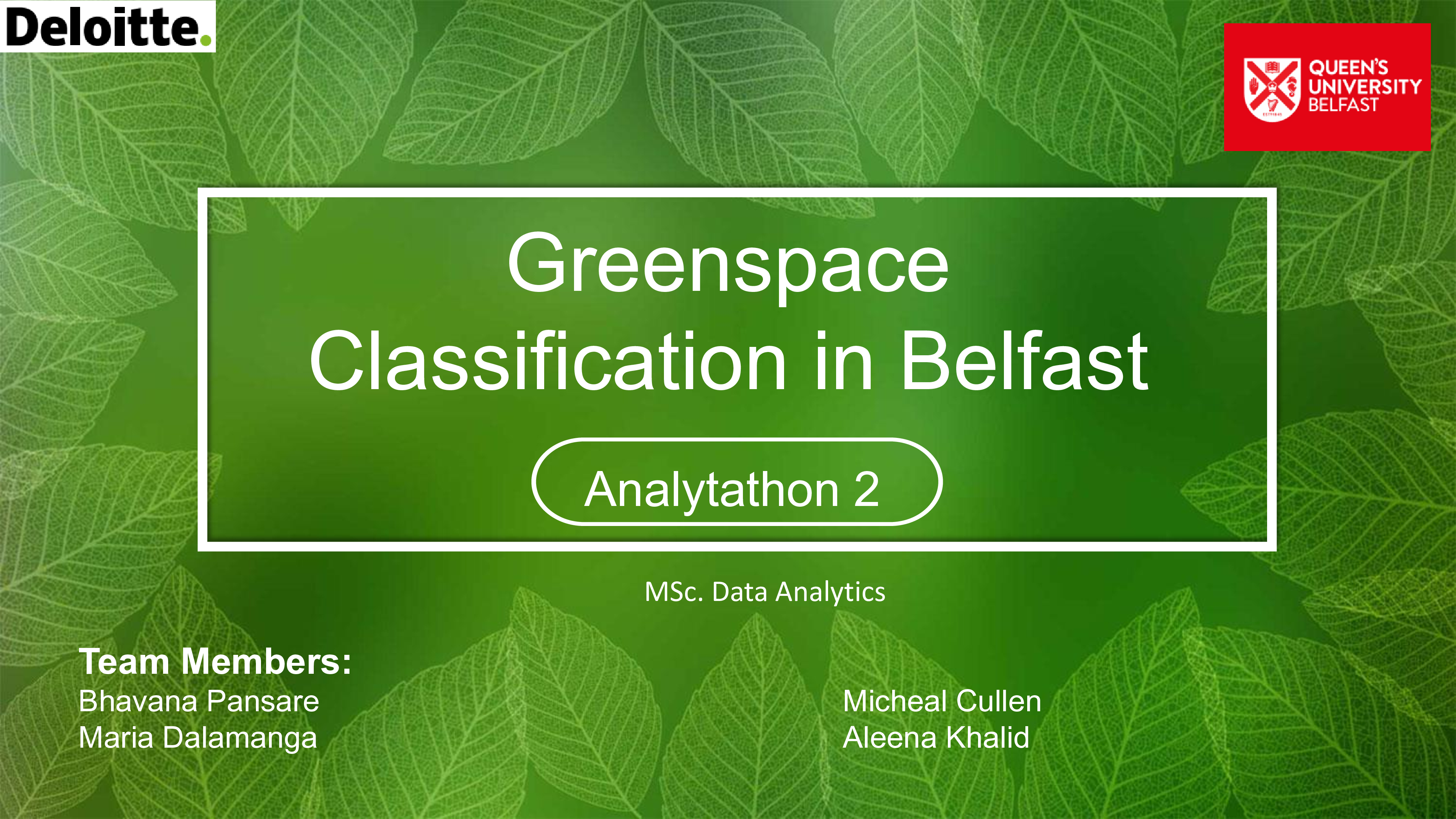 Greenspace Classification in Belfast