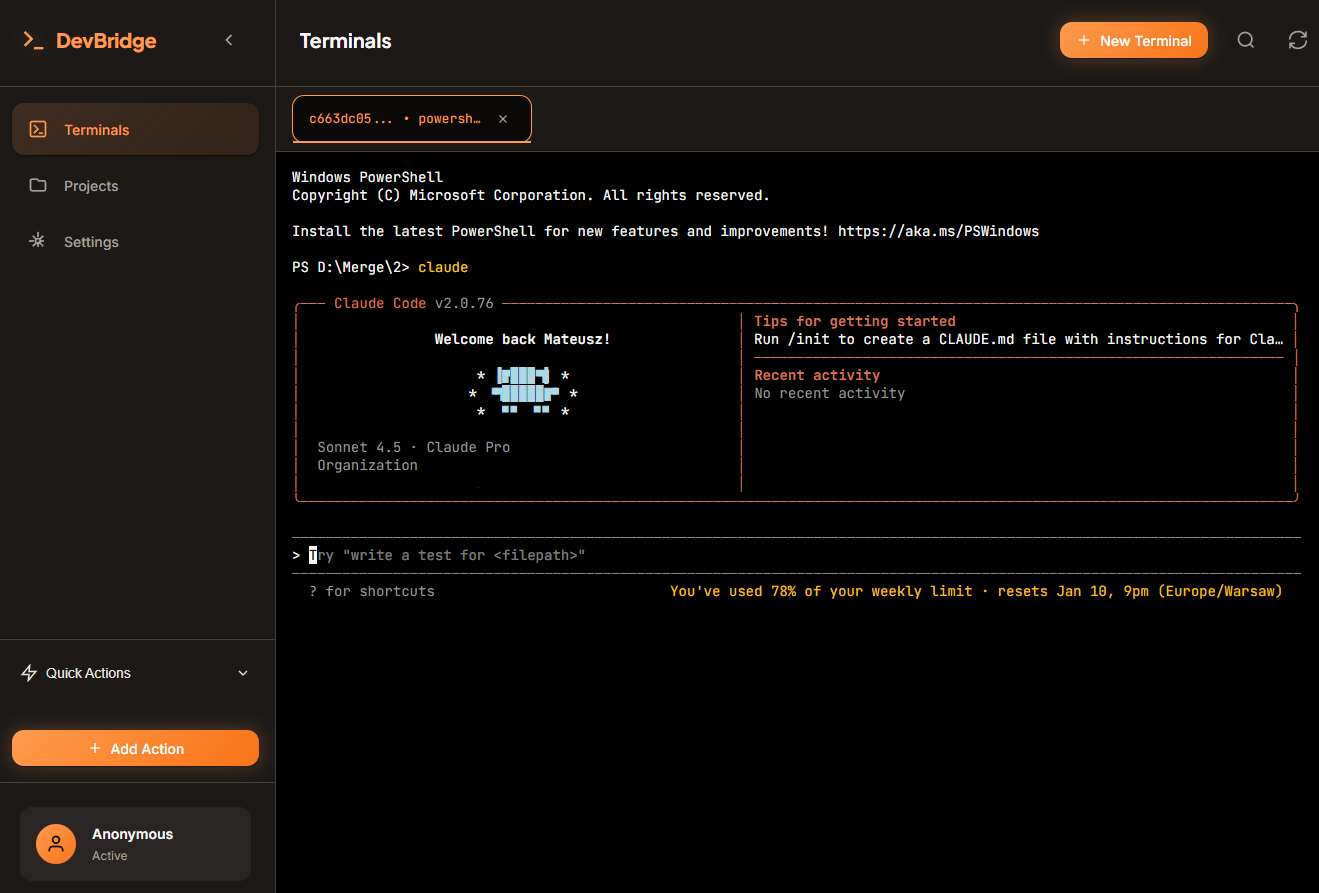 Desktop Terminal View